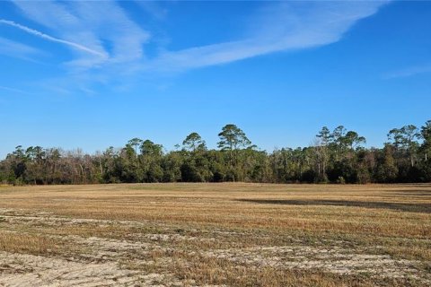 Terreno en venta en Citra, Florida № 1524774 - foto 12