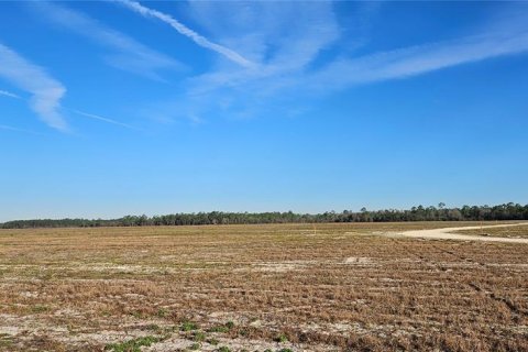 Terreno en venta en Citra, Florida № 1524774 - foto 14