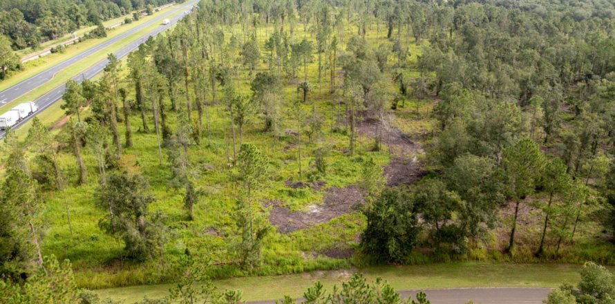 Terrain à Hawthorne, Floride № 765435