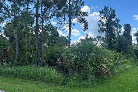 Land in North Port, Florida № 2164765 - photo 3