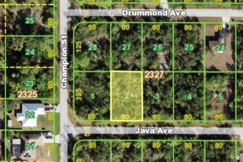 Land in Port Charlotte, Florida № 2358647