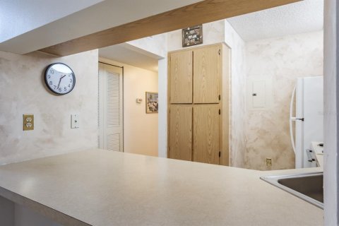 Condo in Tarpon Springs, Florida, 2 bedrooms  № 1734009 - photo 16