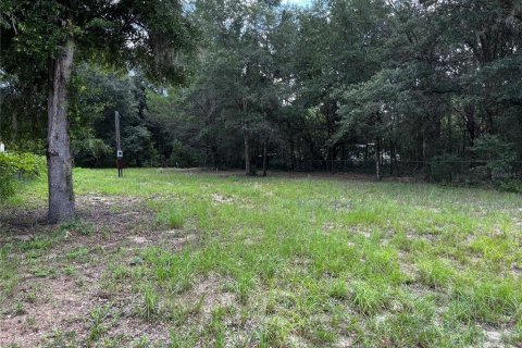 Terrain à vendre à Interlachen, Floride № 2206485 - photo 2