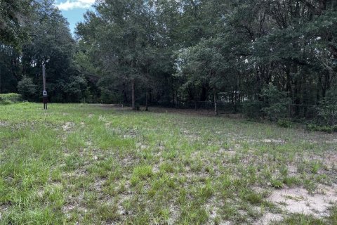 Terrain à Interlachen, Floride № 2206485