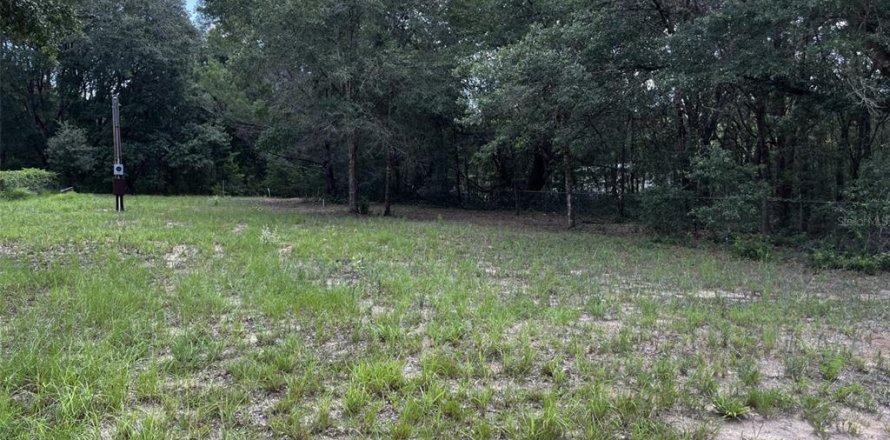 Terrain à Interlachen, Floride № 2206485