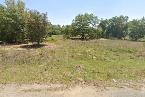 Land in Ocklawaha, Florida № 2162343