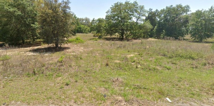 Land in Ocklawaha, Florida № 2162343