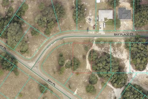 Land in Ocklawaha, Florida № 2162343 - photo 2