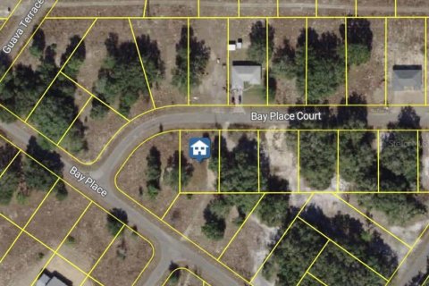 Land in Ocklawaha, Florida № 2162343 - photo 3