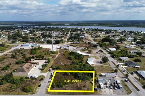 Terrain à Punta Gorda, Floride № 2155812