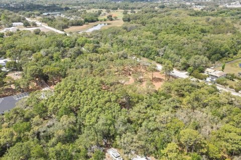 Terreno en venta en Hudson, Florida № 1722082 - foto 8