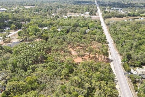 Terreno en venta en Hudson, Florida № 1722082 - foto 9