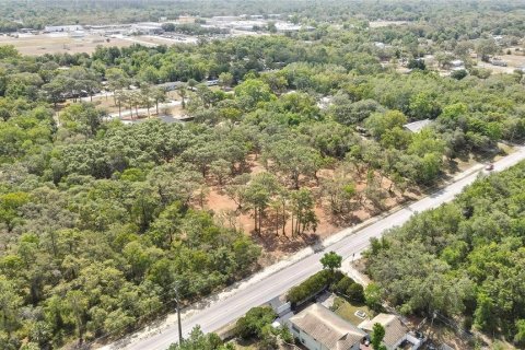 Terreno en venta en Hudson, Florida № 1722082 - foto 10