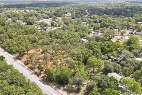 Terreno en venta en Hudson, Florida № 1722082 - foto 4
