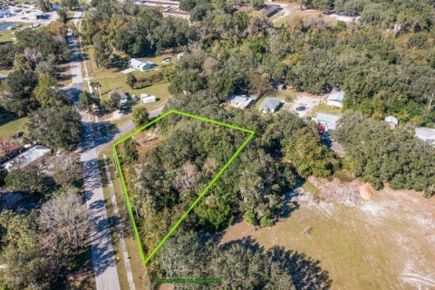 Land in Palatka, Florida № 240698 - photo 4