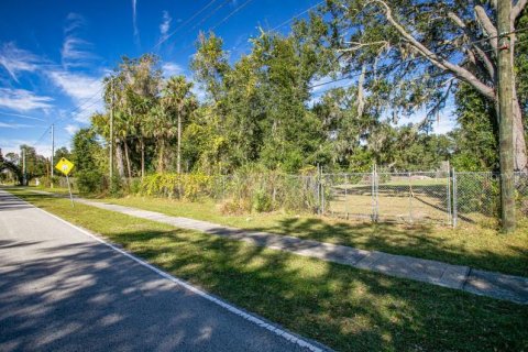 Land in Palatka, Florida № 240698 - photo 2