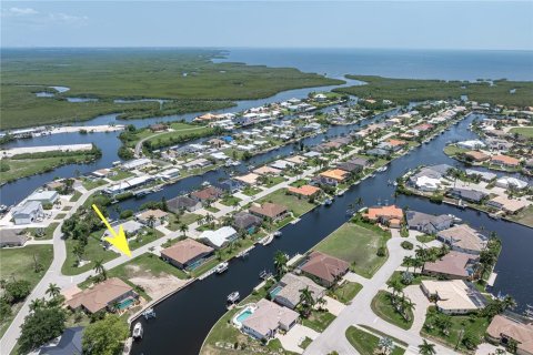 Land in Punta Gorda, Florida № 2239438 - photo 11