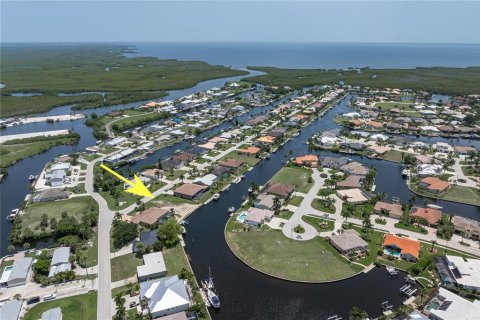 Land in Punta Gorda, Florida № 2239438 - photo 3