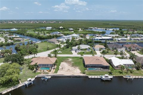Land in Punta Gorda, Florida № 2239438 - photo 12