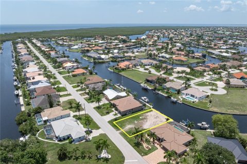Land in Punta Gorda, Florida № 2239438 - photo 7