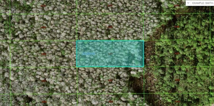Land in Polk City, Florida № 2162209
