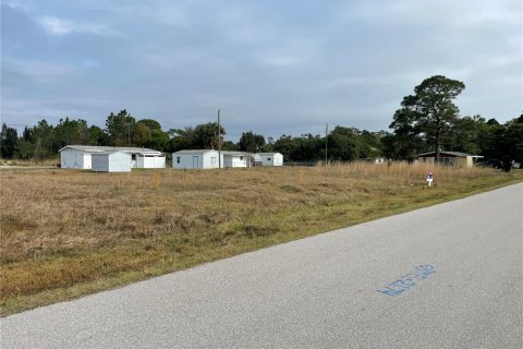 Land in Punta Gorda, Florida № 218103 - photo 5