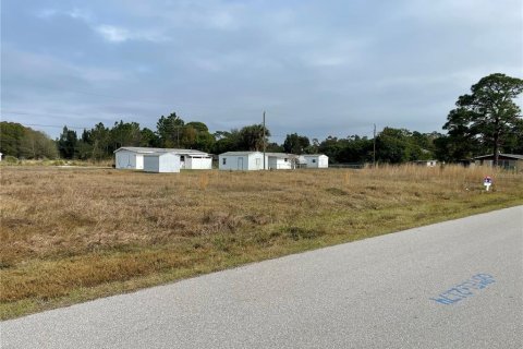 Land in Punta Gorda, Florida № 218103 - photo 6