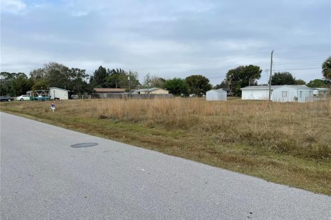 Land in Punta Gorda, Florida № 218103 - photo 2