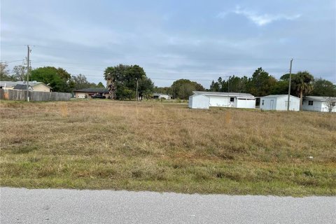 Land in Punta Gorda, Florida № 218103 - photo 4
