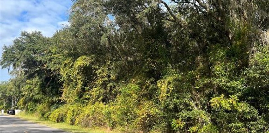 Land in Dunnellon, Florida № 1873537