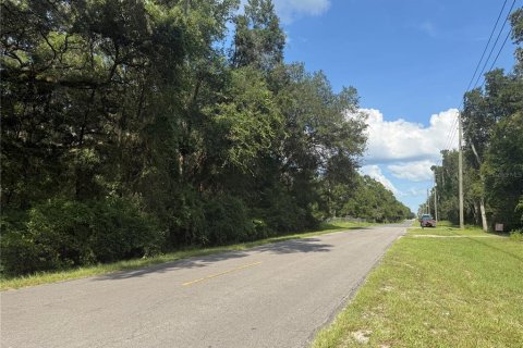 Terrain à vendre à Dunnellon, Floride № 1873537 - photo 2