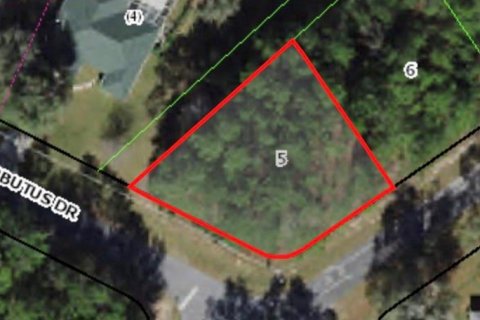 Land in Citrus Springs, Florida № 2223948