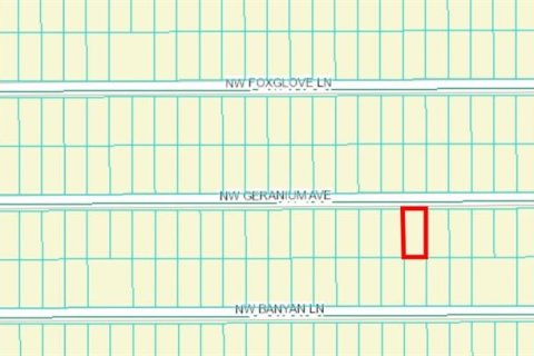 Land in Dunnellon, Florida № 2165238 - photo 2