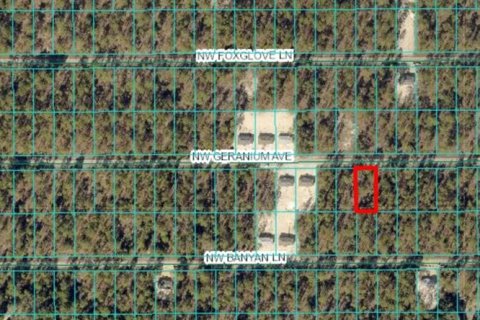Land in Dunnellon, Florida № 2165238