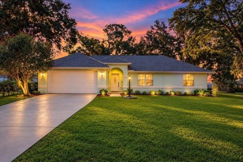 Villa ou maison à Ocala, Floride 3 chambres, 148.83 m2 № 2419800