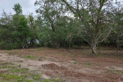 Land in Morriston, Florida № 2158962 - photo 2