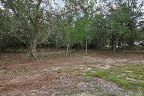 Land in Morriston, Florida № 2158962 - photo 5