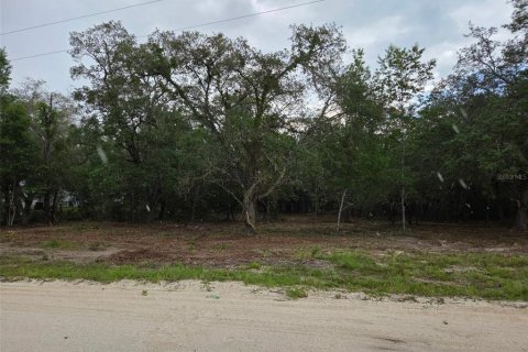 Land in Morriston, Florida № 2158962
