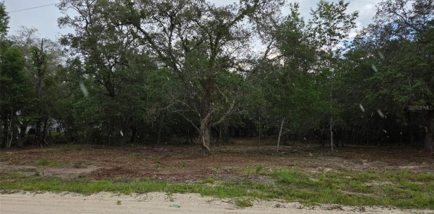 Land in Morriston, Florida № 2158962