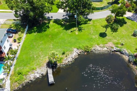 Land in Tampa, Florida № 1795803 - photo 3