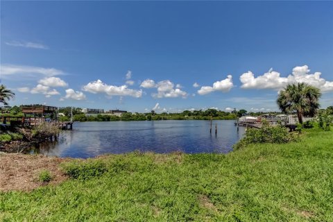 Land in Tampa, Florida № 1795803 - photo 6
