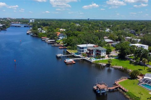 Land in Tampa, Florida № 1795803 - photo 9
