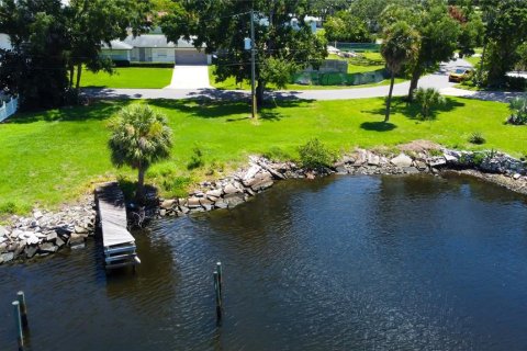 Land in Tampa, Florida № 1795803 - photo 10