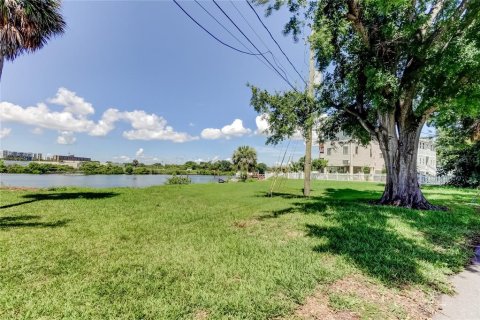 Land in Tampa, Florida № 1795803 - photo 5