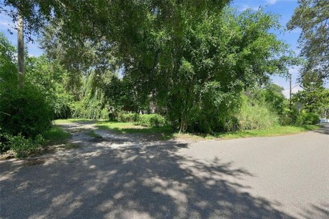 Immobilier commercial à vendre à Saint Petersburg, Floride: 5 chambres, 325.53 m2 № 2418940 - photo 18