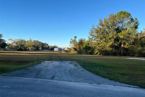 House in Clermont, Florida 4 bedrooms, 212.47 sq.m. № 1734005 - photo 6