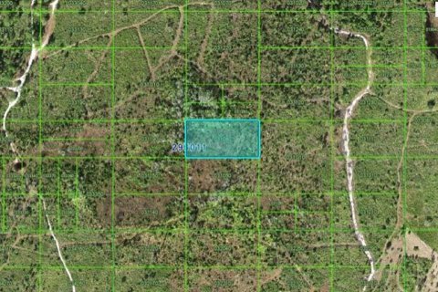 Terreno en Lake Wales, Florida № 2202841