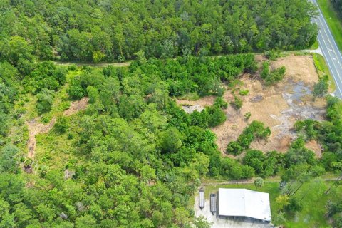 Land in Silver Springs Shores, Florida № 1801335 - photo 16