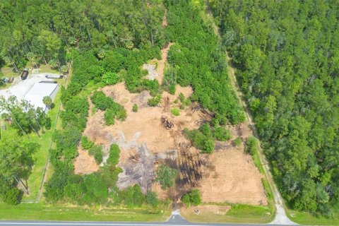 Land in Silver Springs Shores, Florida № 1801335 - photo 10