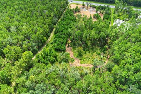 Land in Silver Springs Shores, Florida № 1801335 - photo 6